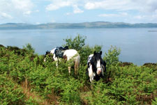 Scotland-Argyle-Argyle Explorer Ride